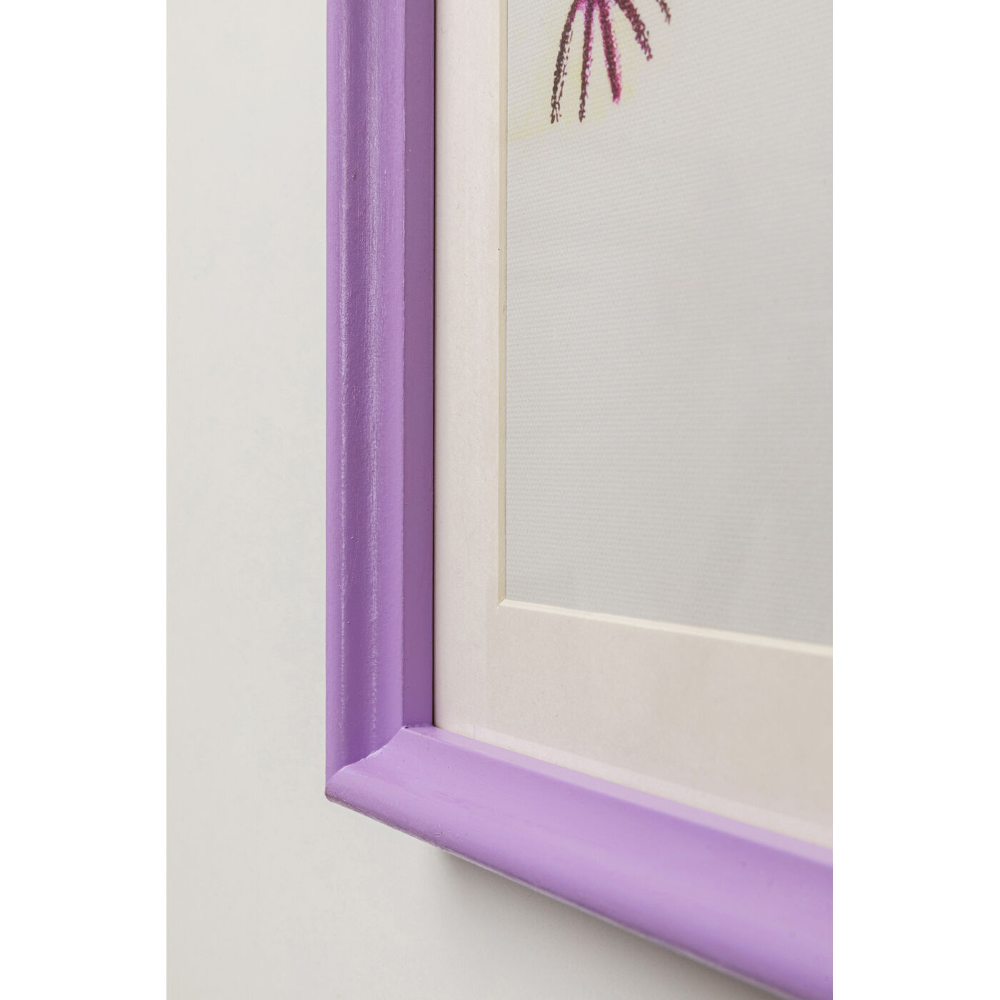Картина в раме Fantasy Pet «Фантазийные животные» 32x42 см (2/Set) от KARE Design