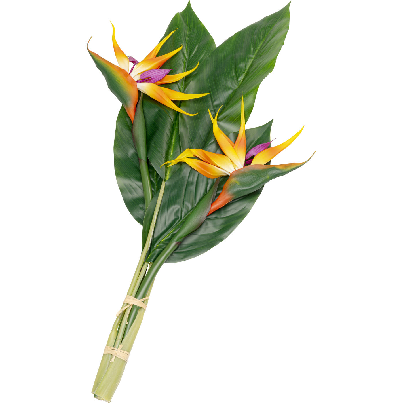 Растение декоративное Paradise Bird «Птица рая» 70 см от KARE Design