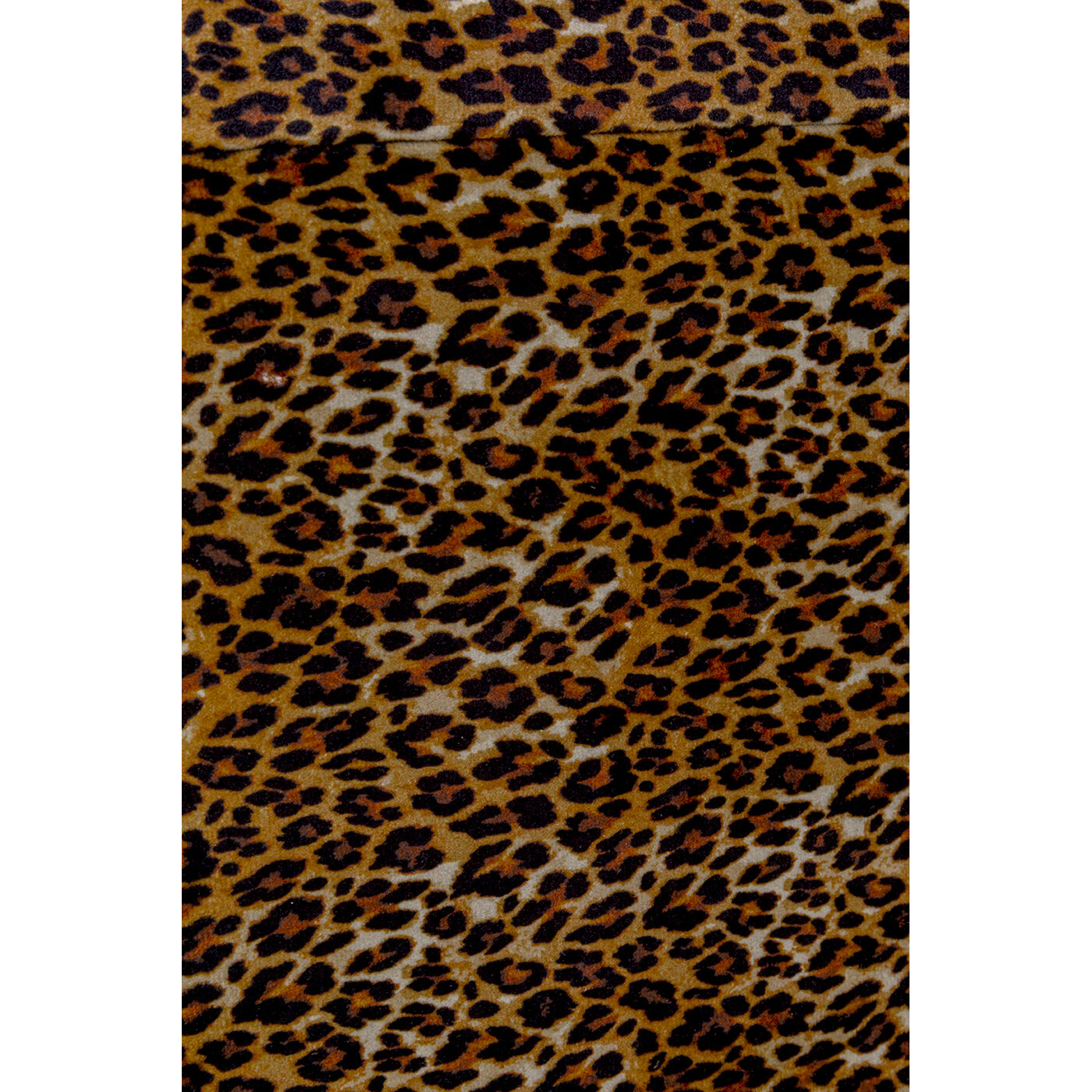 Шкатулка Wild Animal Leo (3/Set)