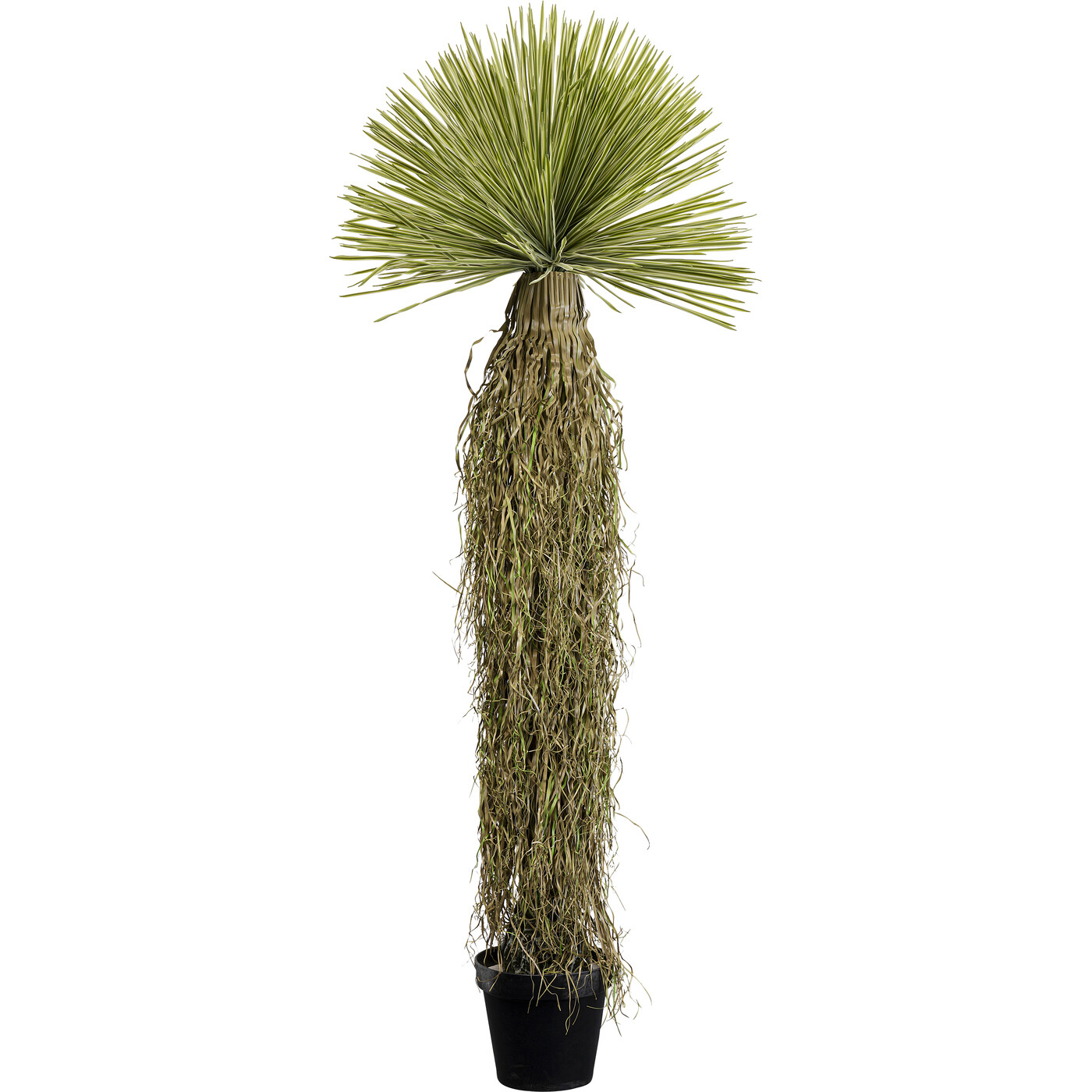 Растение декоративное Yucca «Юкка» 180 см от KARE Design
