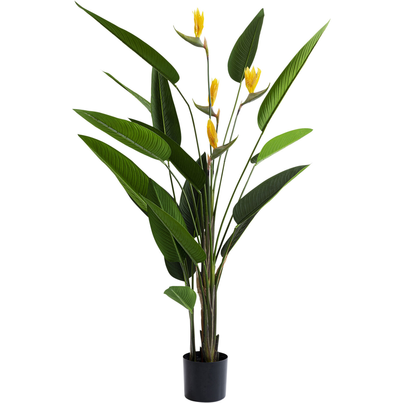 Растение декоративное Paradise Flowers «Райские цветы» 190 см от KARE Design