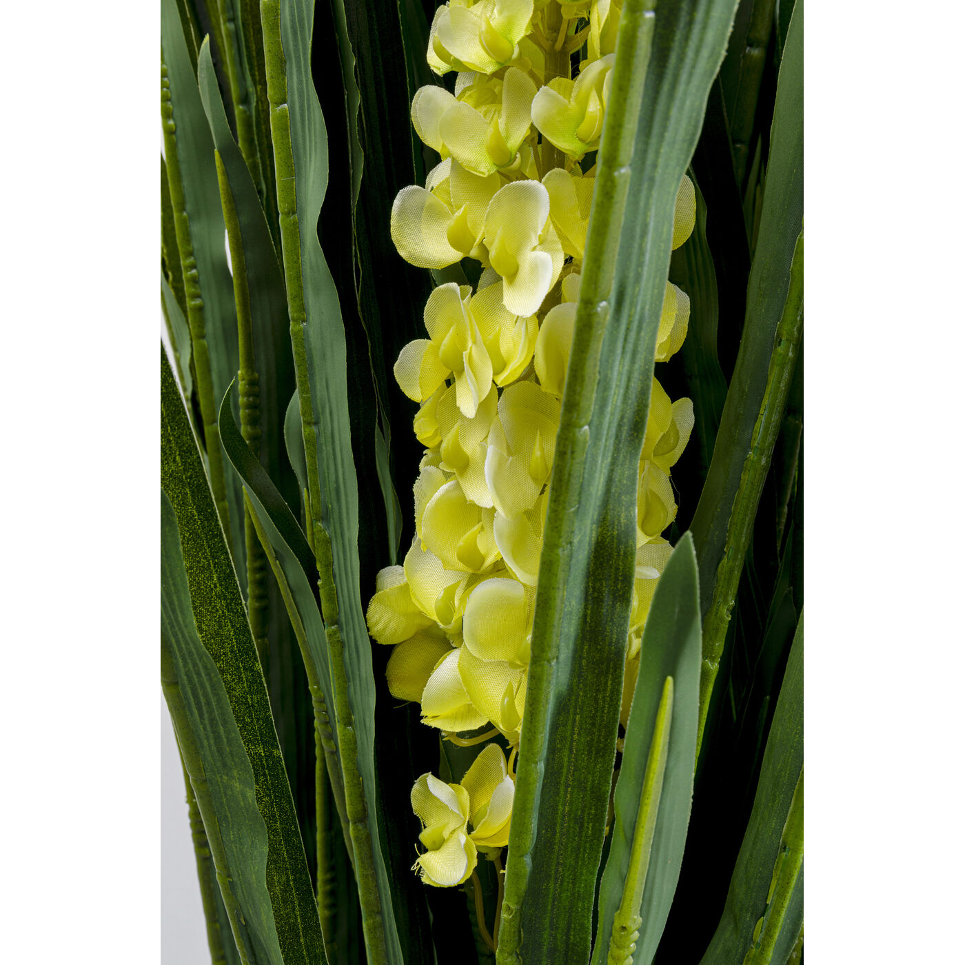 Растение декоративное Rhynchostylis «Ринхостилис» 55 см от KARE Design