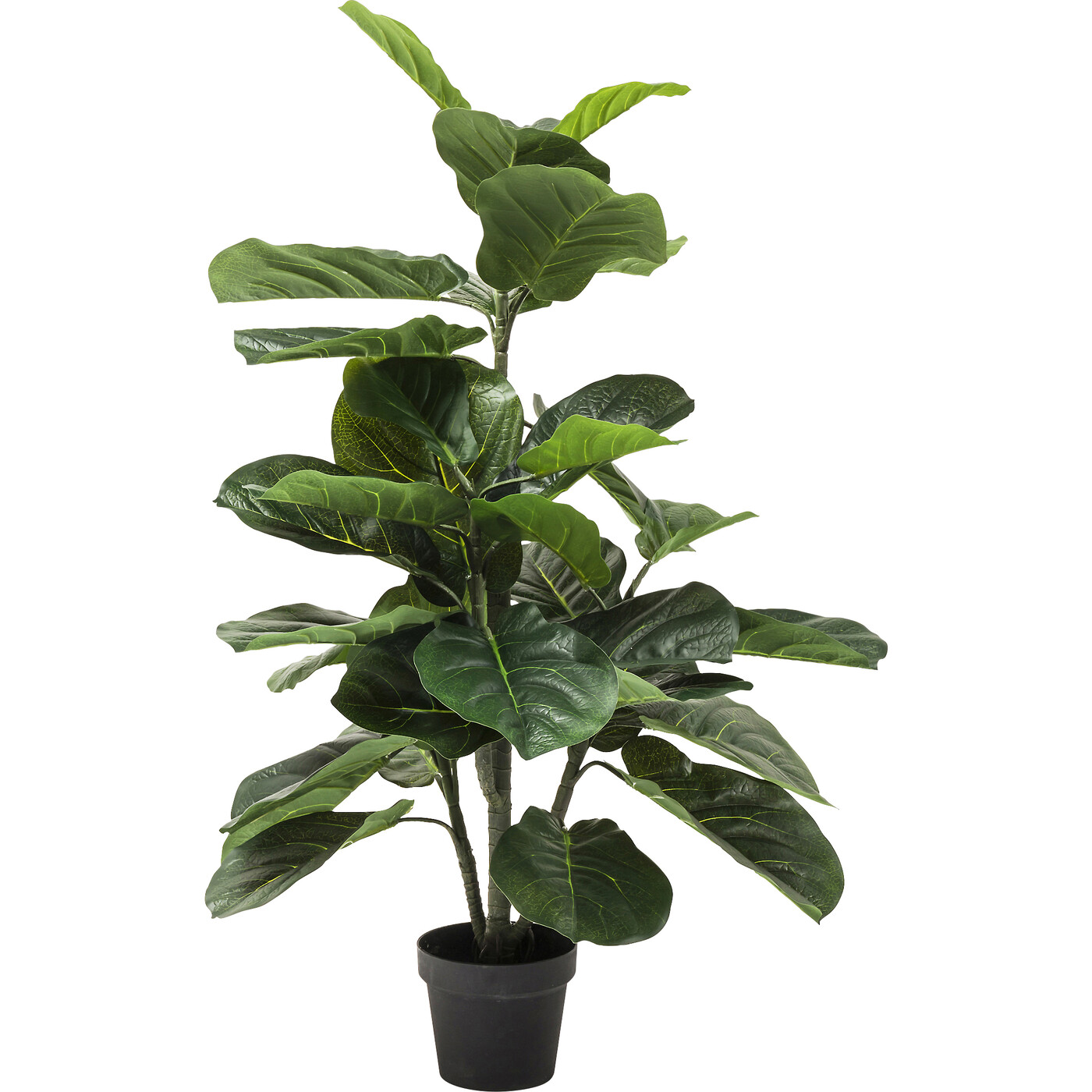 Растение декоративное Fiddle Leaf «Скрипичный лист» 120 см от KARE Design