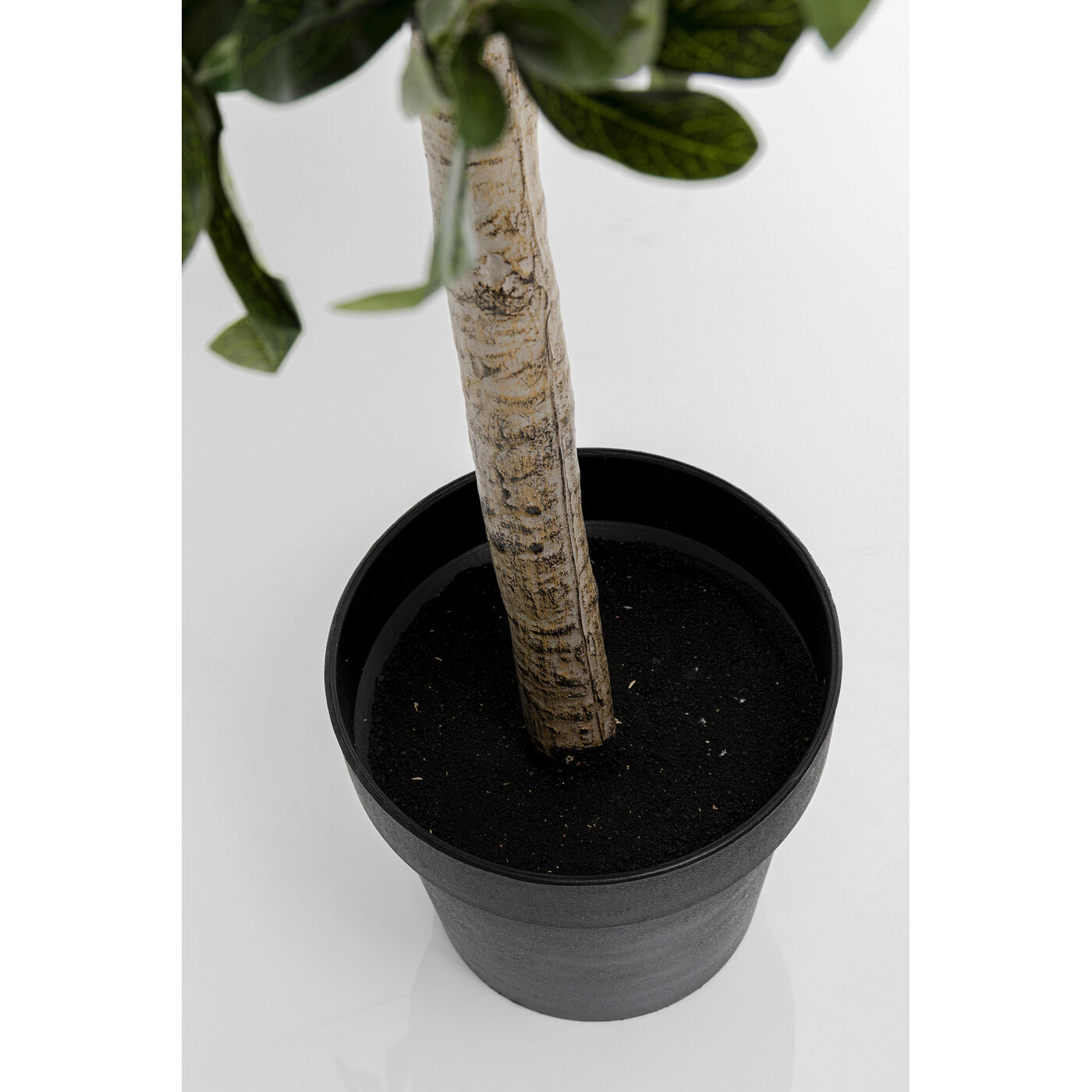 Растение декоративное Olive Tree «Оливковое дерево» 120 см от KARE Design