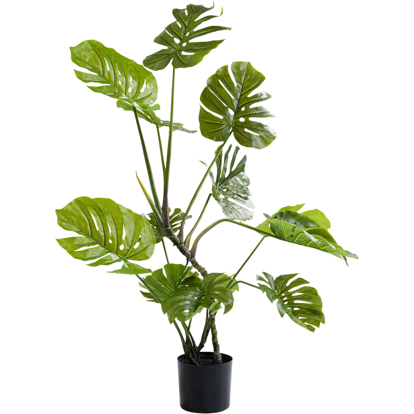 Растение декоративное Monstera «Монстера» 110 см от KARE Design