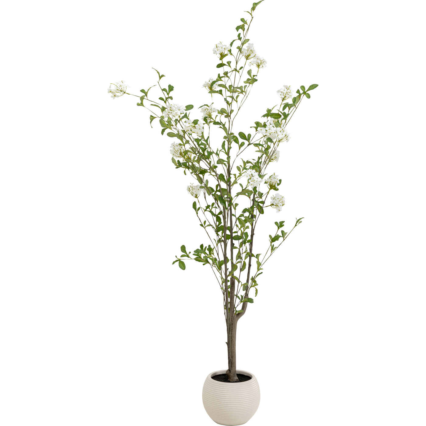 Растение декоративное Plum Tree «Сливовое дерево» 152 см от KARE Design
