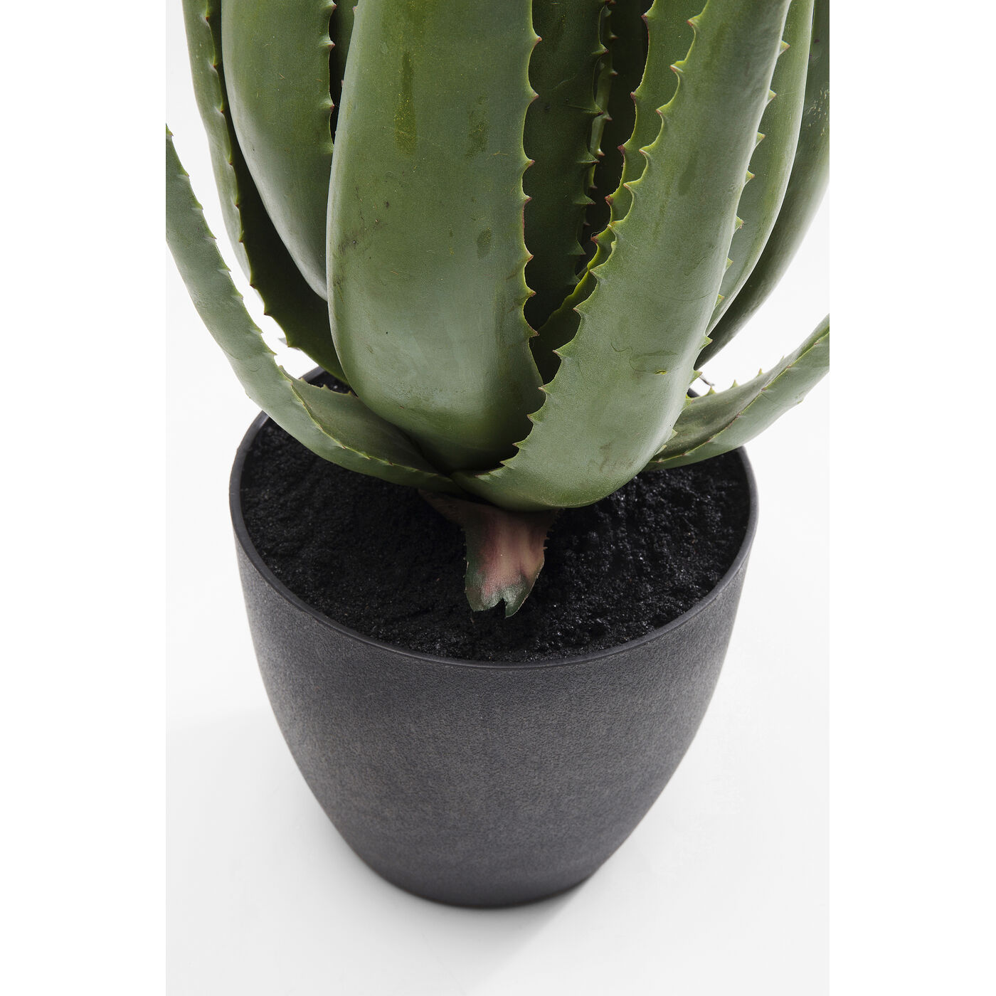 Растение декоративное Aloe «Алоэ» 69 см от KARE Design