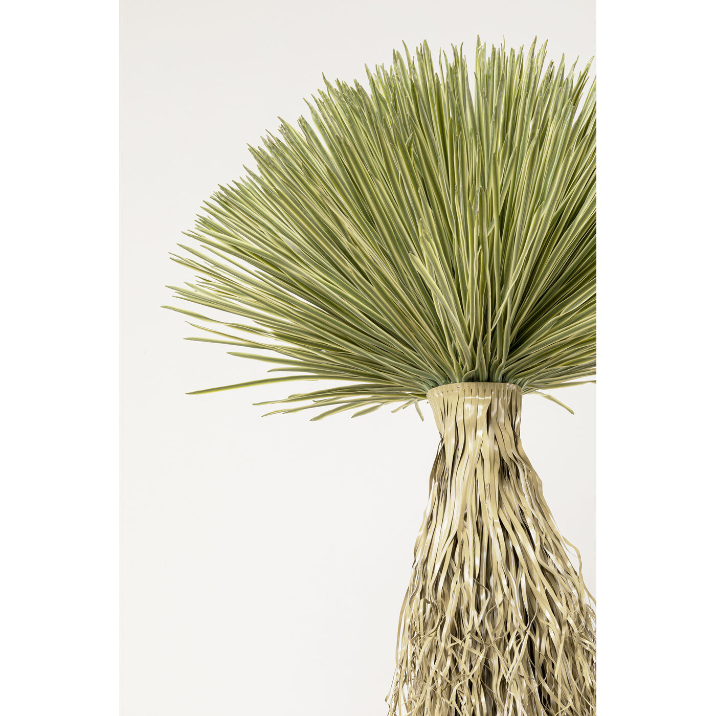 Растение декоративное Yucca Rostrata «Юкка Рострата» 240 см от KARE Design
