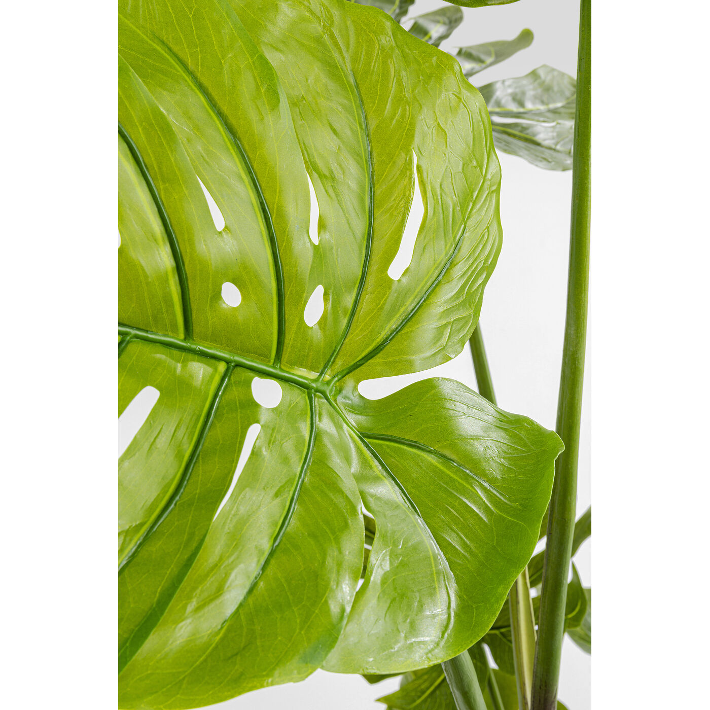 Растение декоративное Monstera «Монстера» 110 см от KARE Design