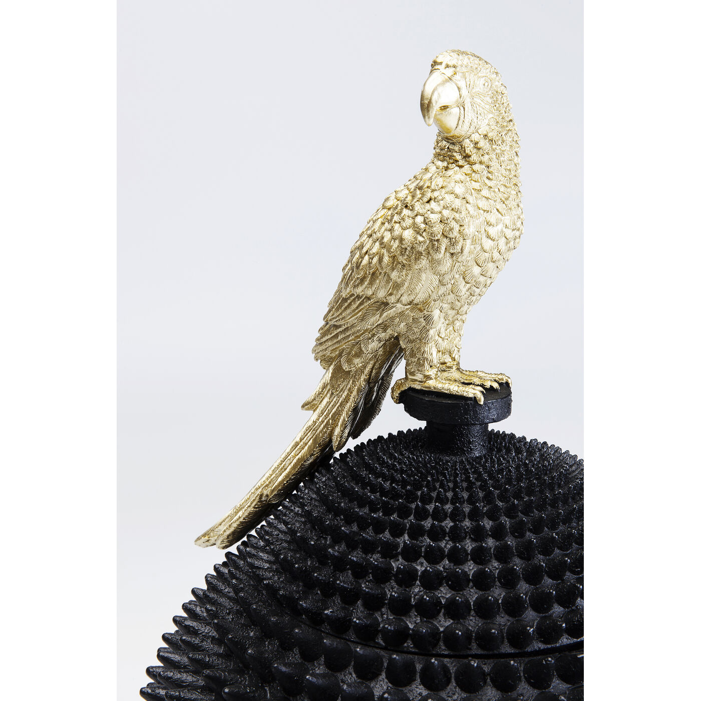 Шкатулка Parrot «Попугай» от KARE Design