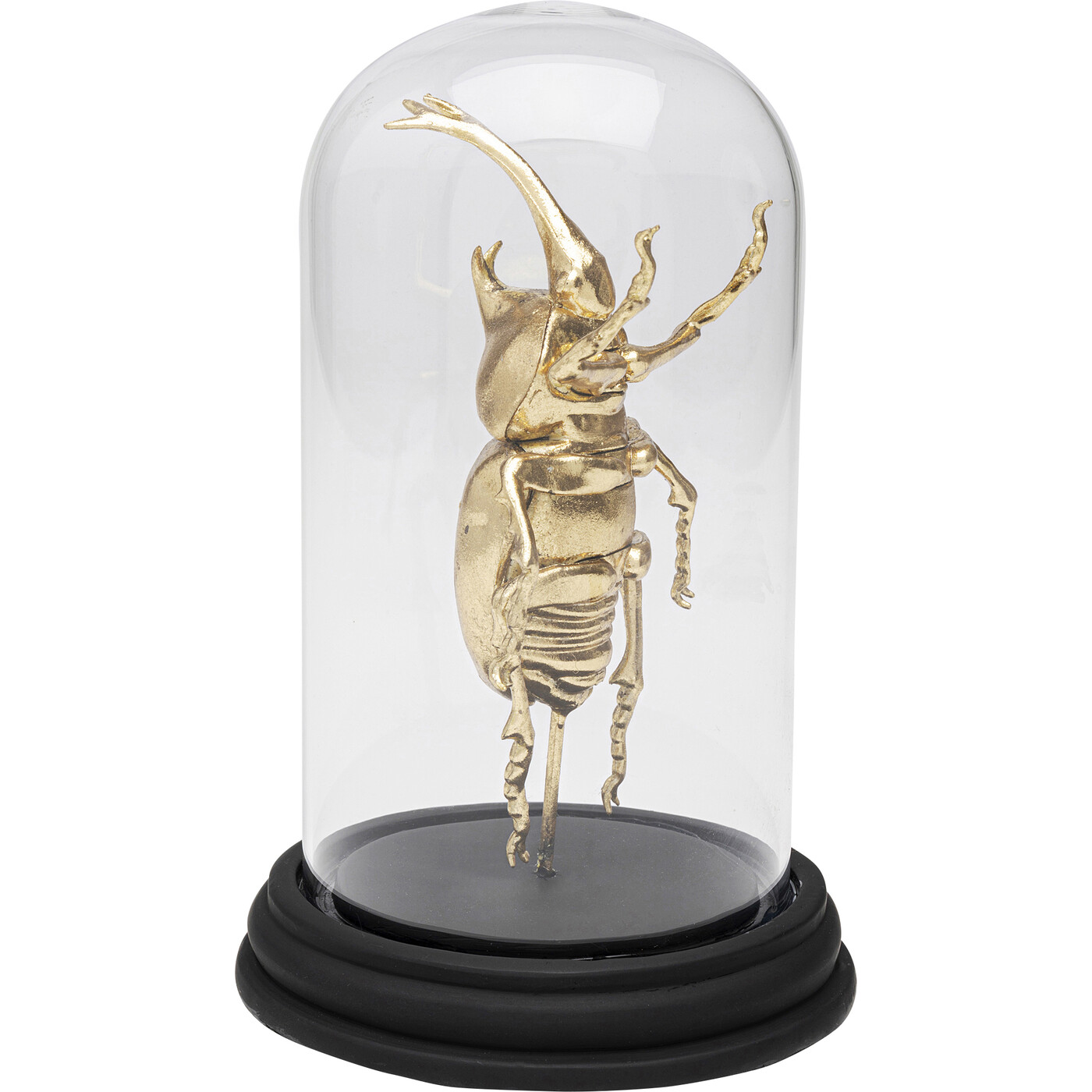 Объект декоративный Bell Jar Stag Beetle «Жук-олень под колпаком» 20 см от KARE Design