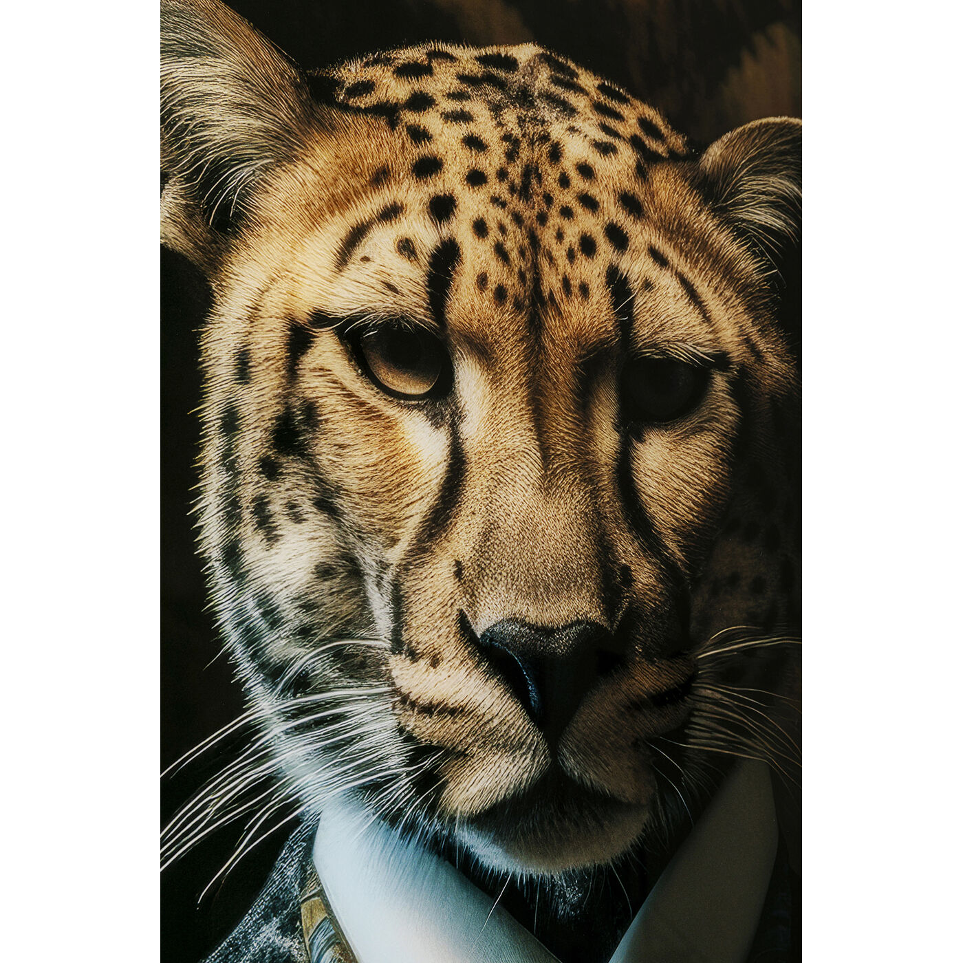 Картина стеклянная Mister Leo «Леопард в костюме» 40x30 см