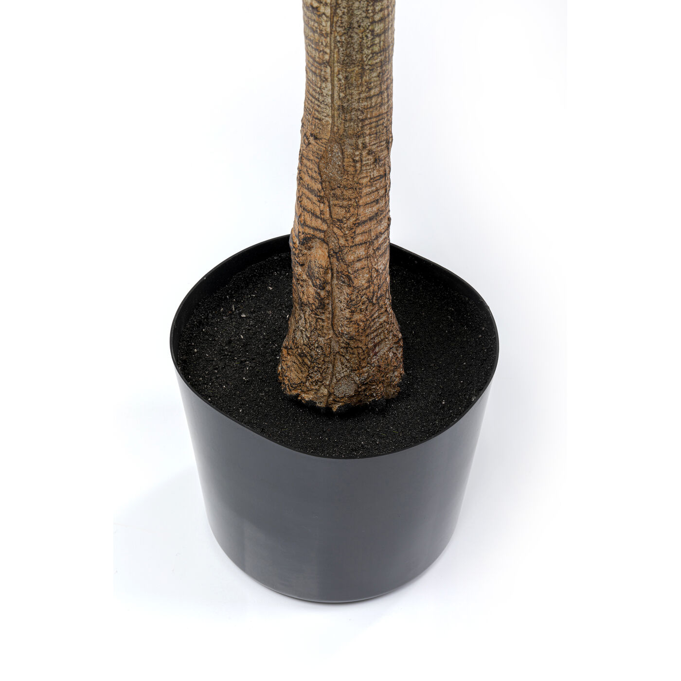 Растение декоративное Dracaena Fragrans «Драцена» 180 см от KARE Design