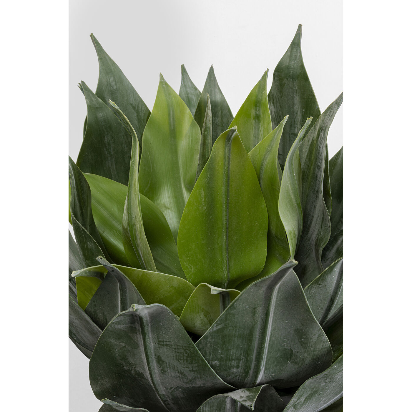 Растение декоративное Agave «Агава» 120 см от KARE Design