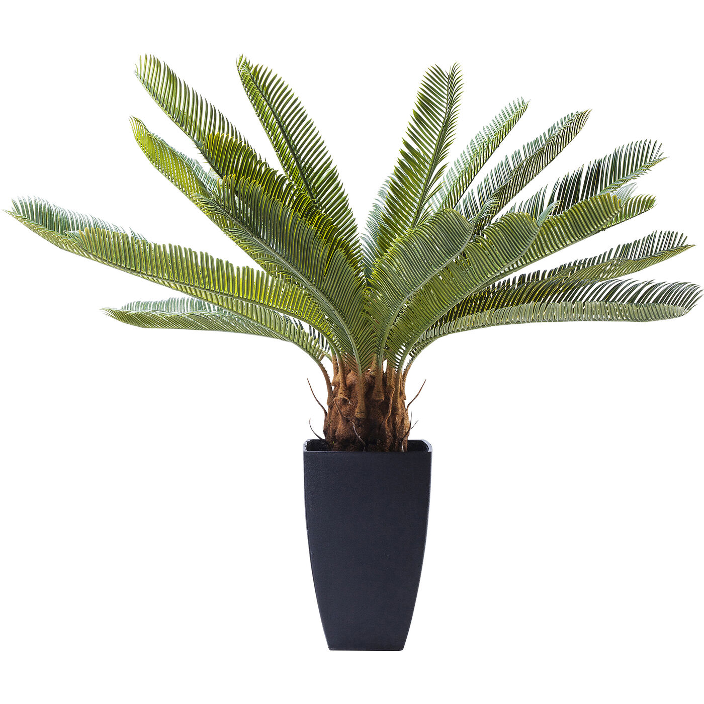 Растение декоративное Cycas Tree «Дерево цикас» 78 см
