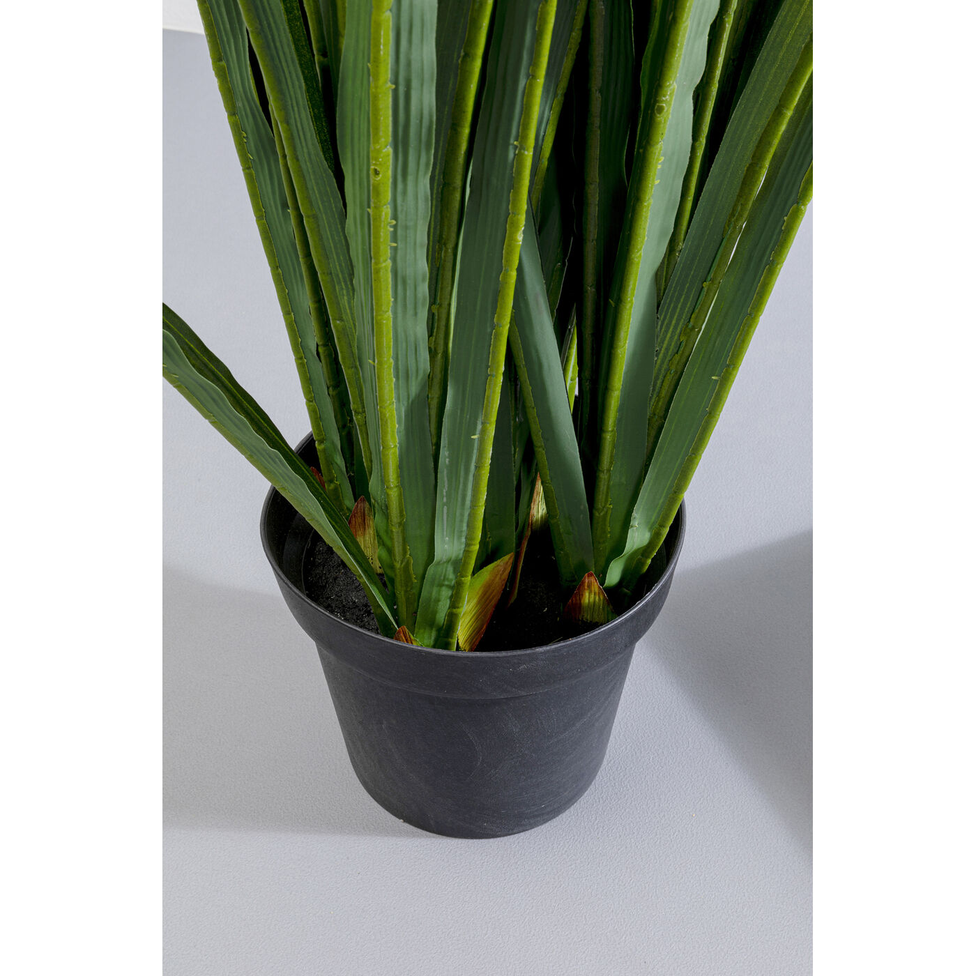 Растение декоративное Rhynchostylis «Ринхостилис» 55 см от KARE Design