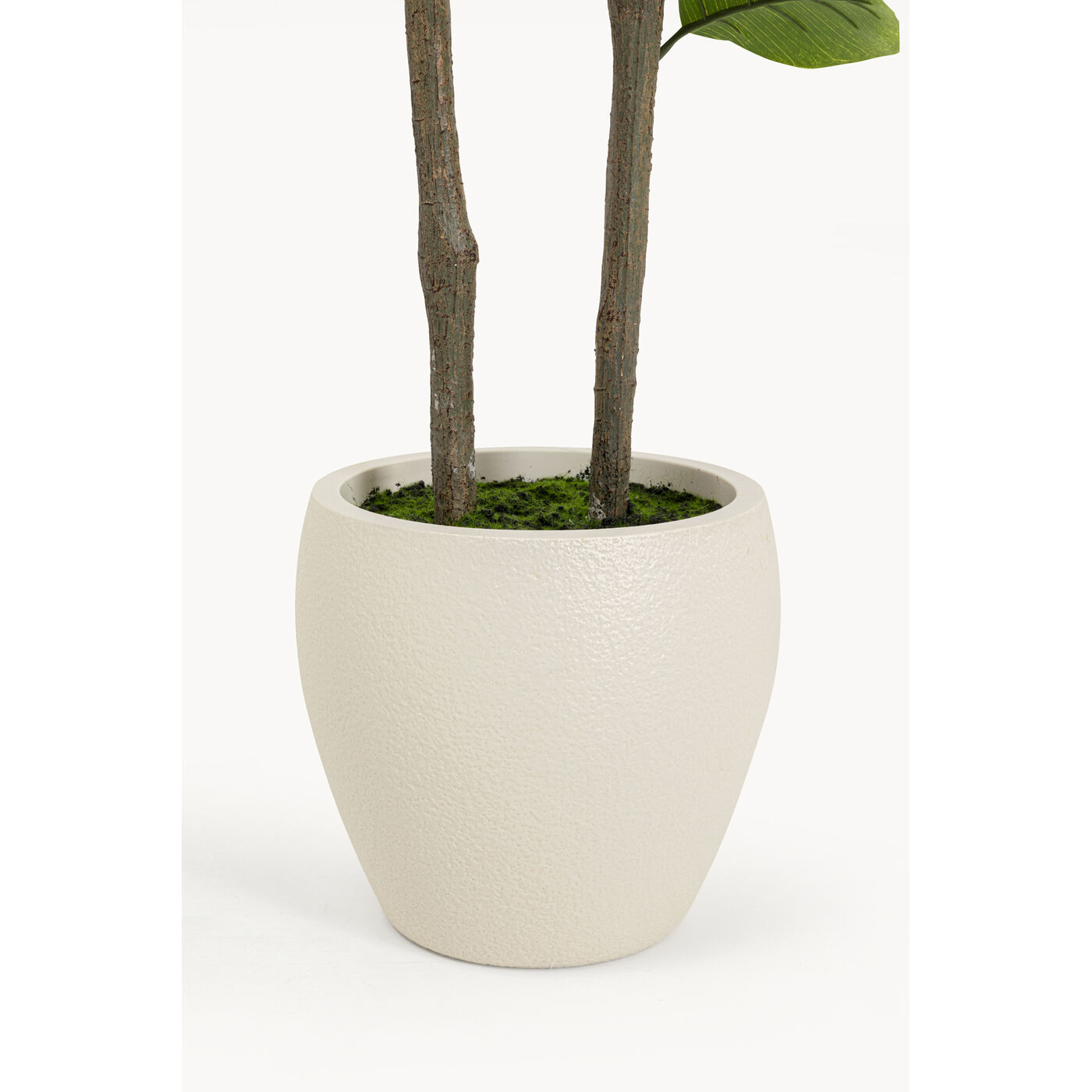 Растение декоративное Balata Tree «Дерево балата» 162 см от KARE Design