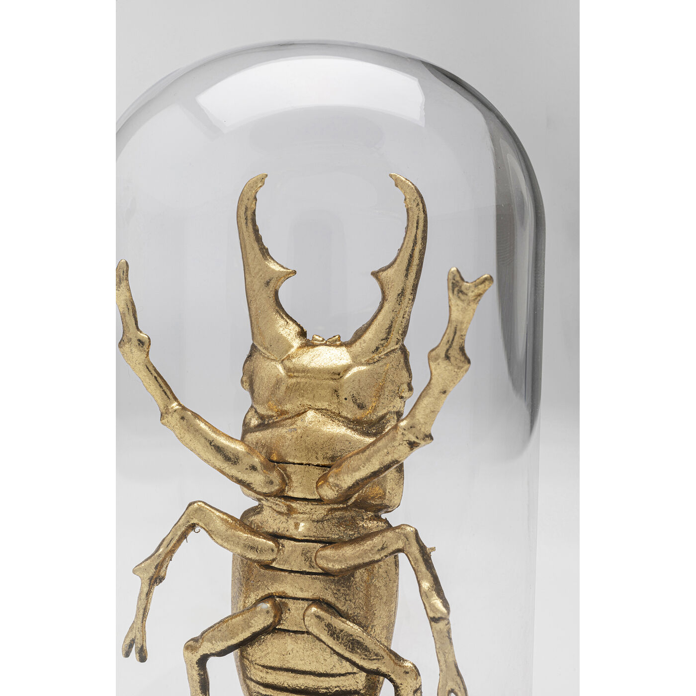 Объект декоративный Bell Jar Hercules Beetle «Жук-геркулес под колпаком» 20 см от KARE Design