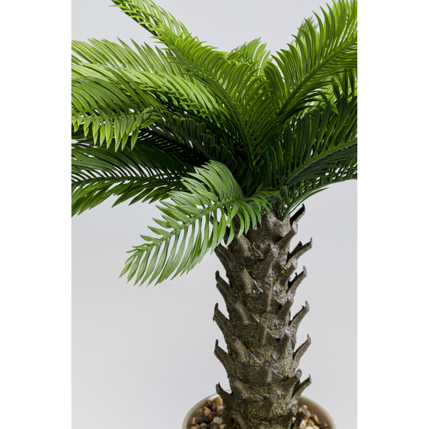 Растение декоративное Cycas «Цикас» 70 см от KARE Design
