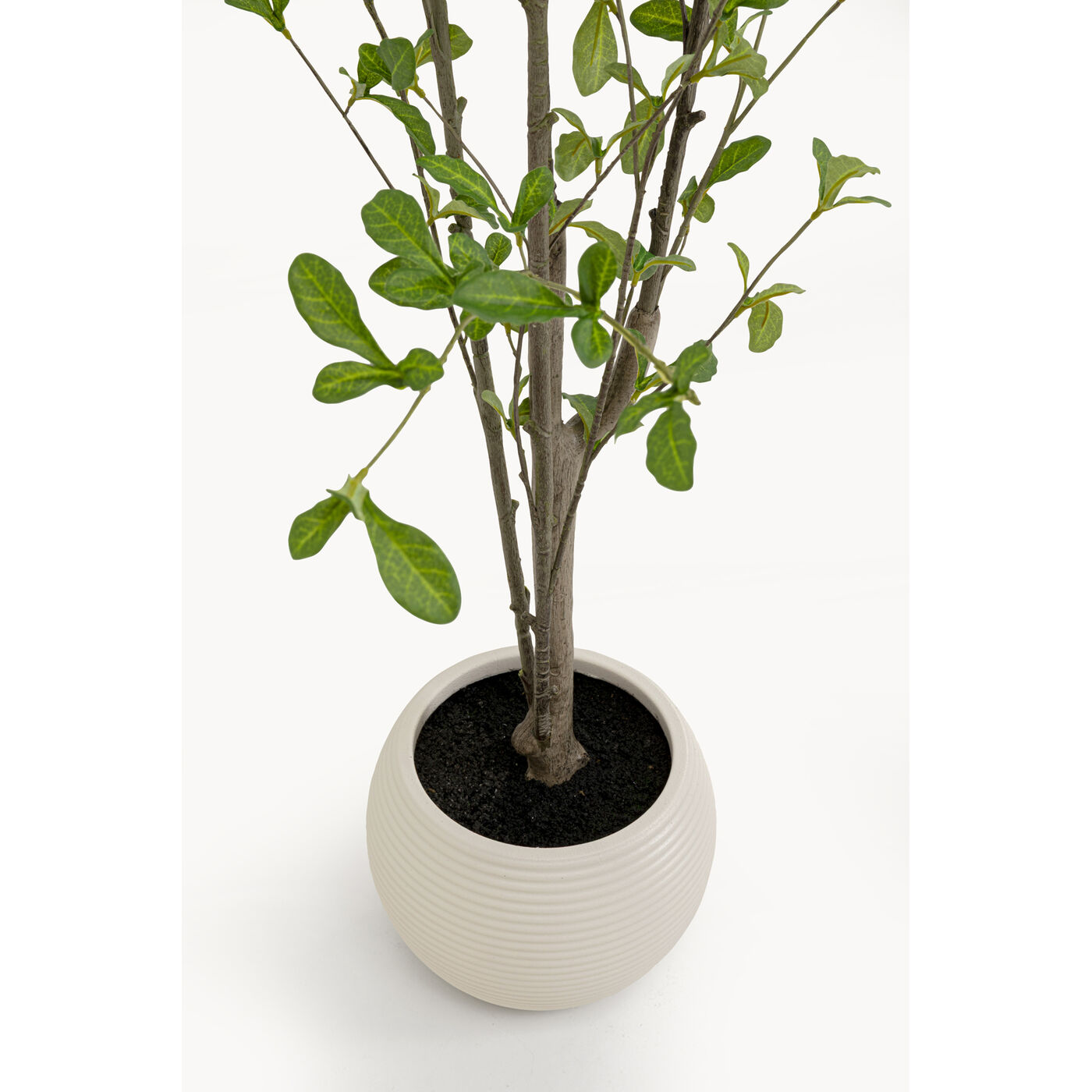 Растение декоративное Plum Tree «Сливовое дерево» 152 см от KARE Design