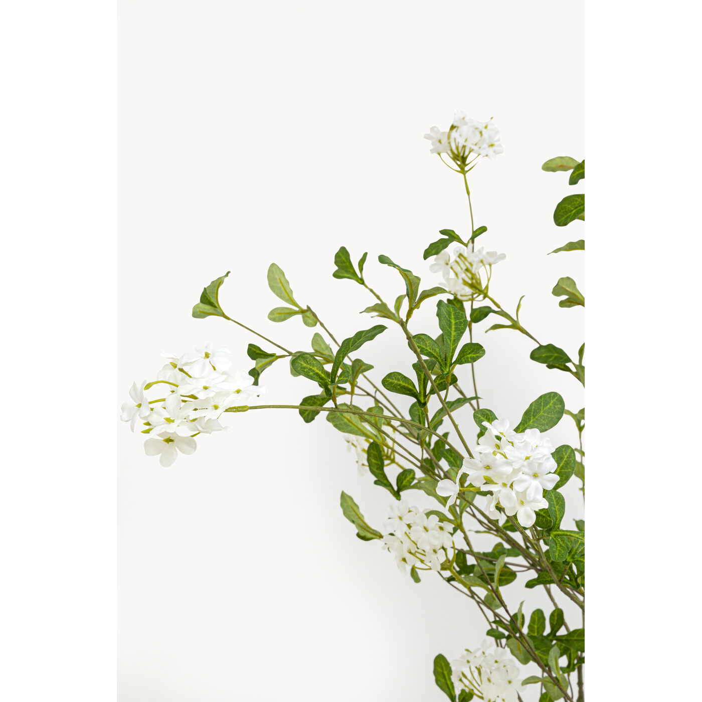 Растение декоративное Plum Tree «Сливовое дерево» 152 см от KARE Design