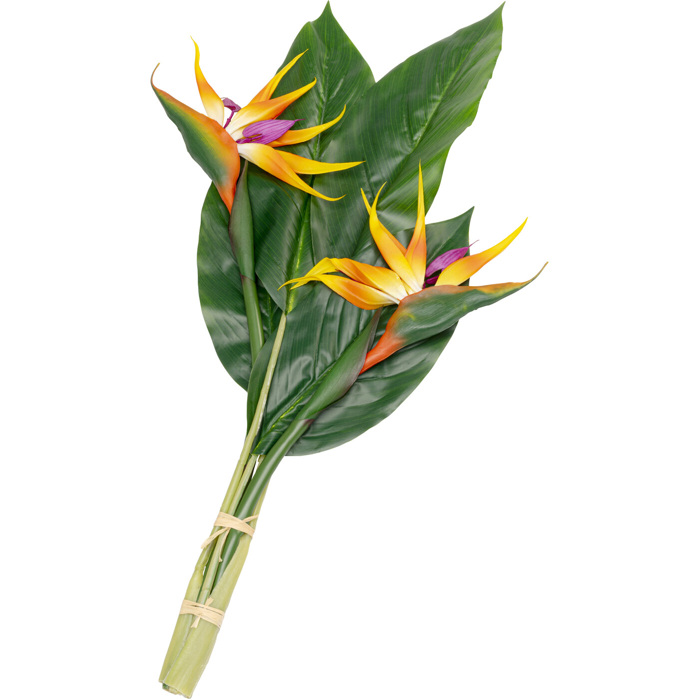 Растение декоративное Paradise Bird «Птица рая» 70 см от KARE Design