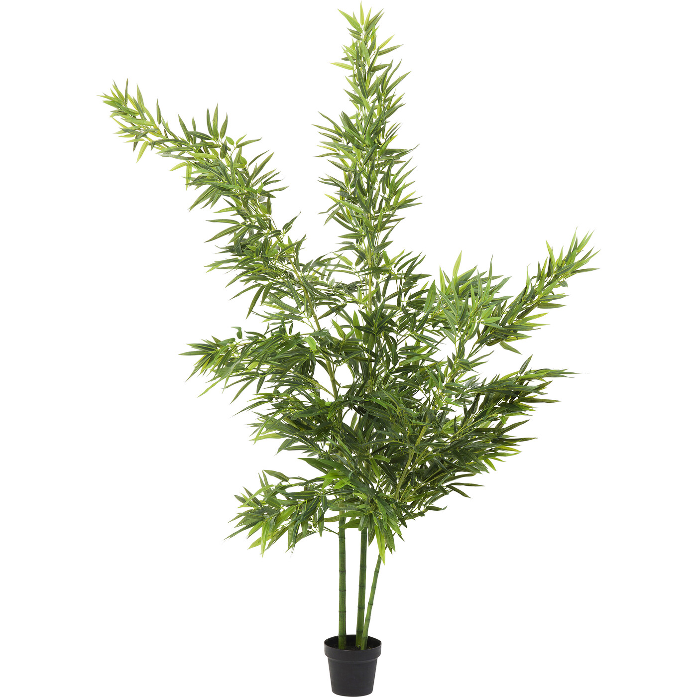 Растение искусственное Bamboo Tree «Бамбук» 200 см от KARE Design