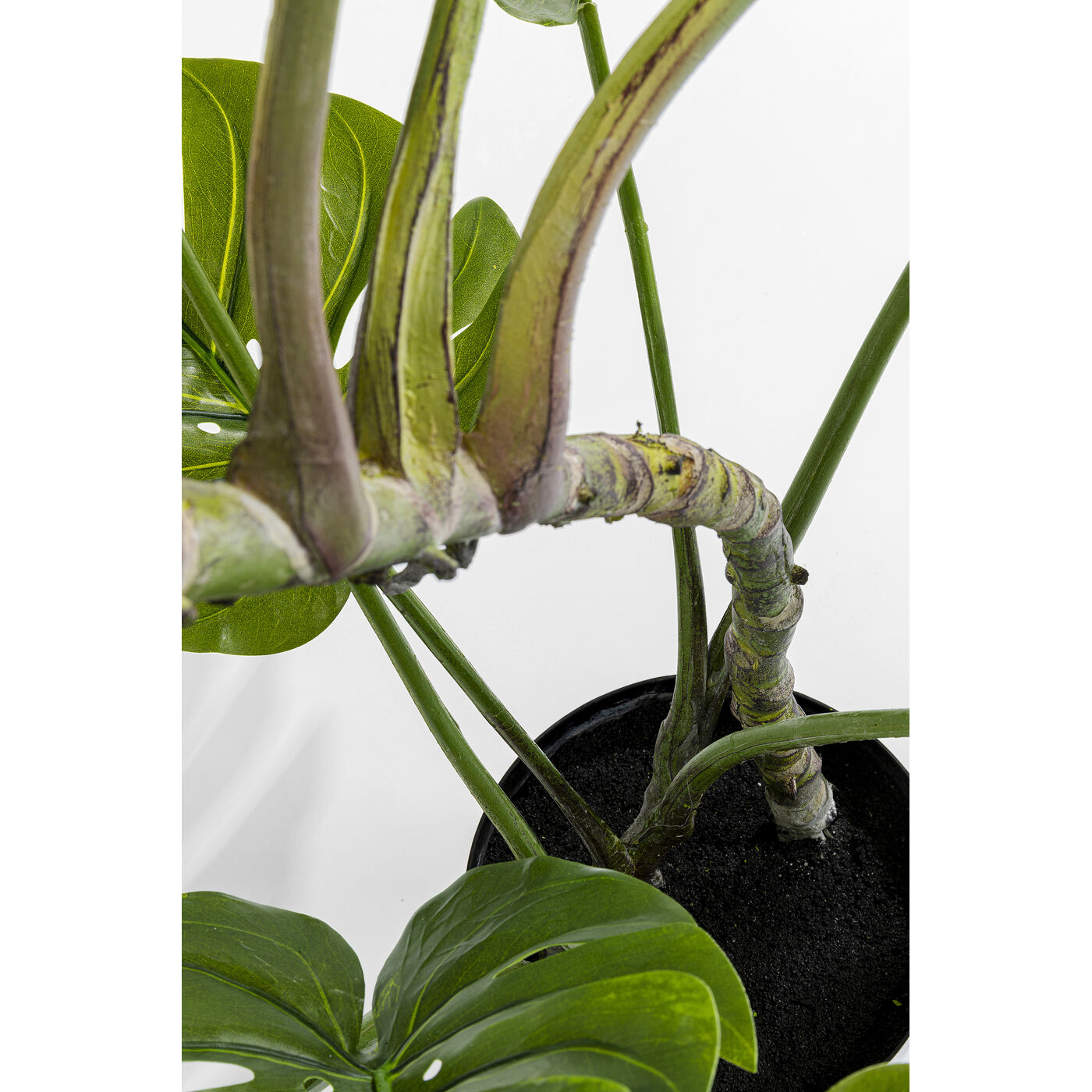 Растение декоративное Monstera «Монстера» 110 см от KARE Design