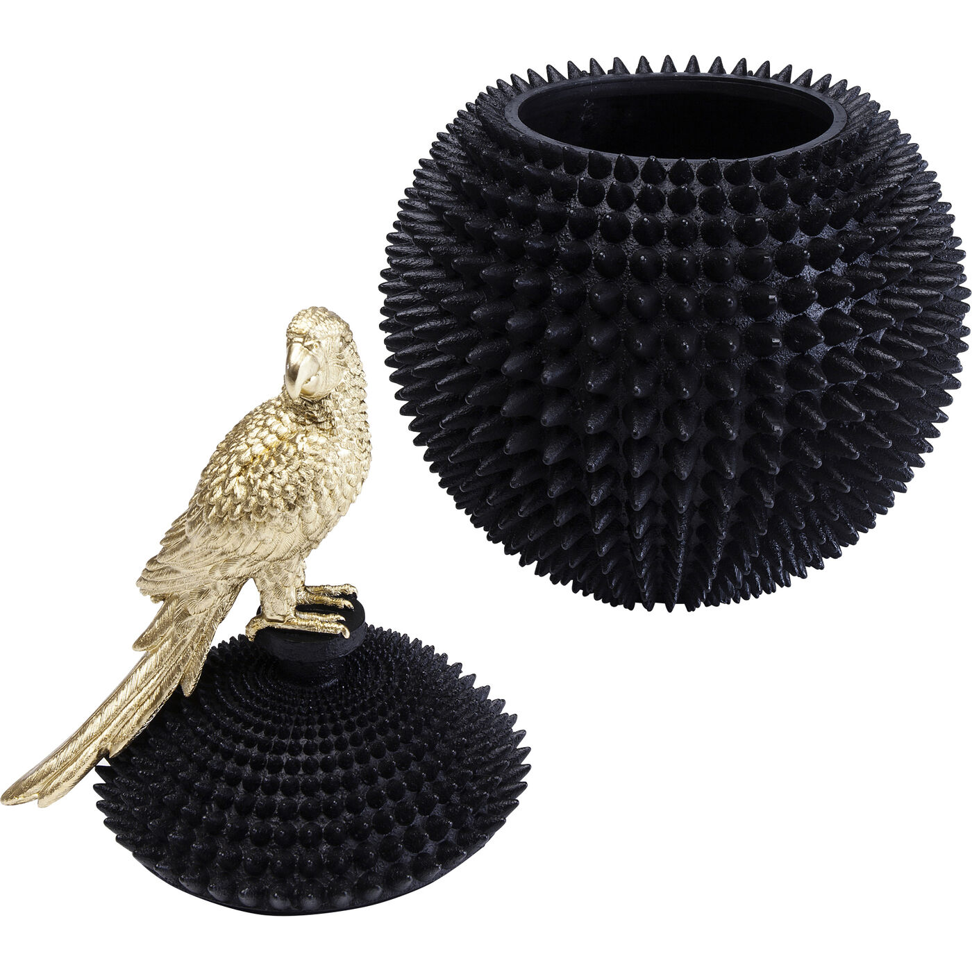 Шкатулка Parrot «Попугай» от KARE Design