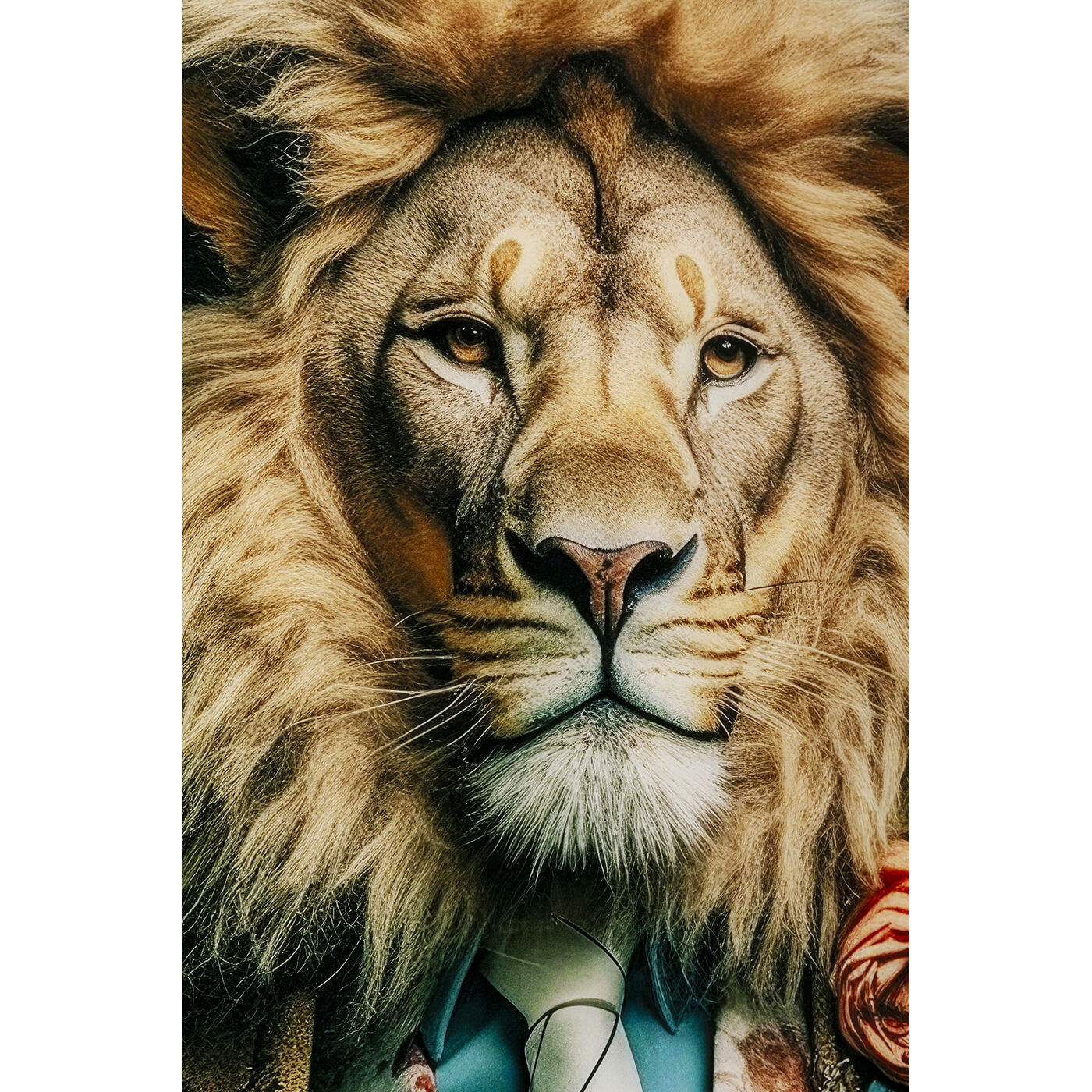 Картина стеклянная Mister Lion «Лев в костюме» 150x100 см