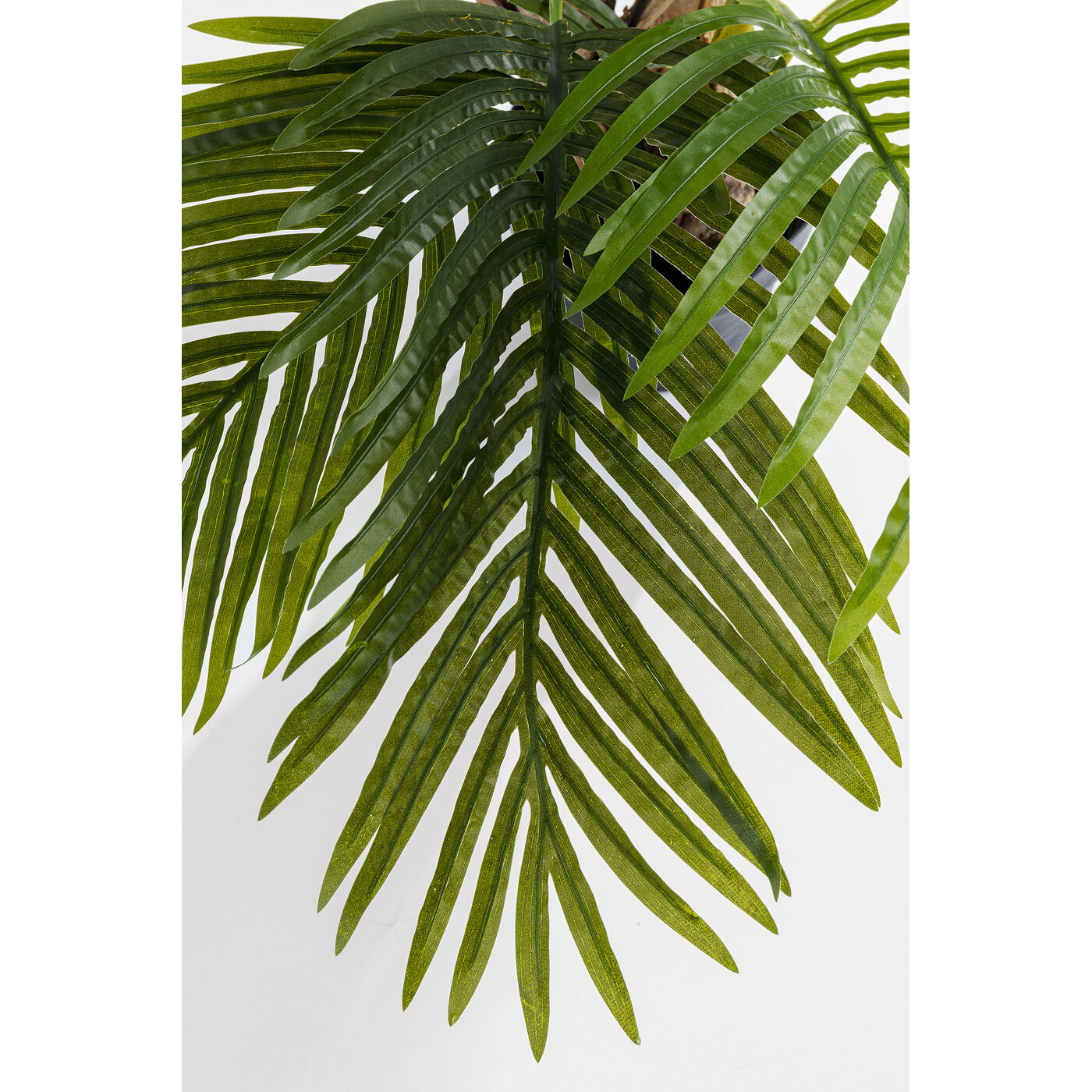 Растение декоративное Palm Tree 190 см от KARE Design