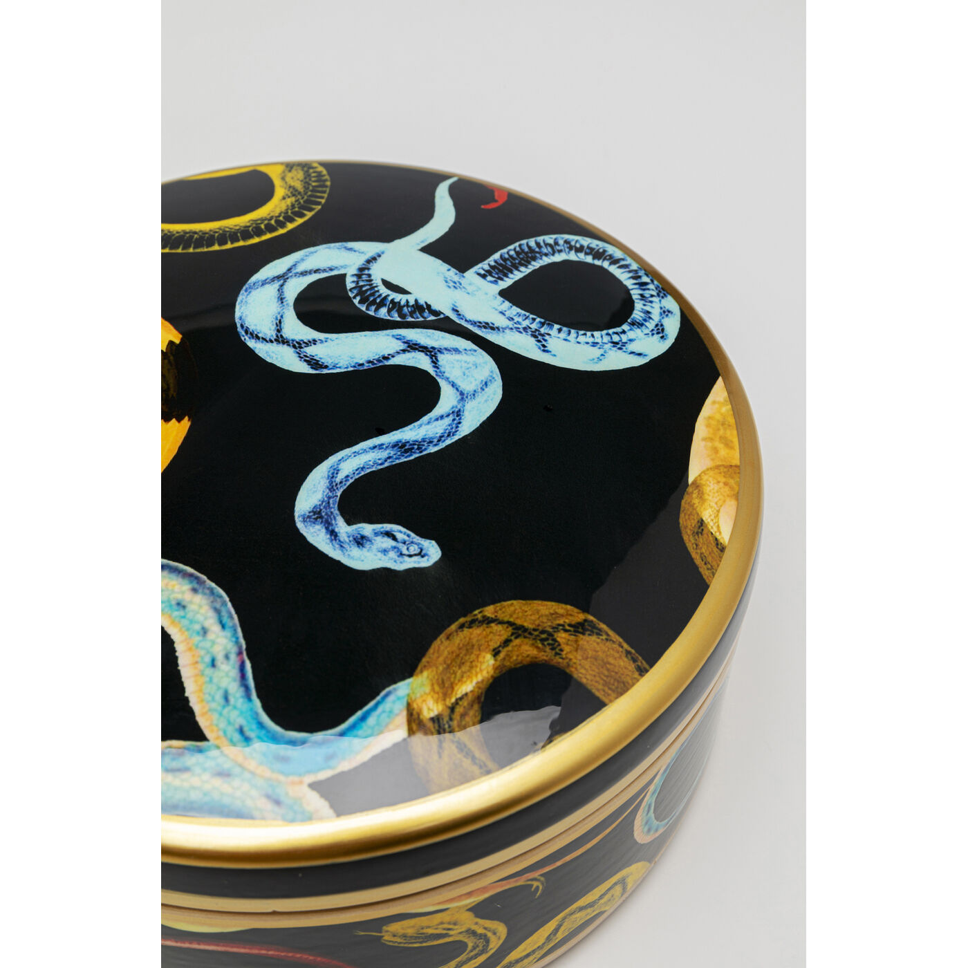Банка декоративная Snake Party «Вечеринка змей» Ø19 см от KARE Design