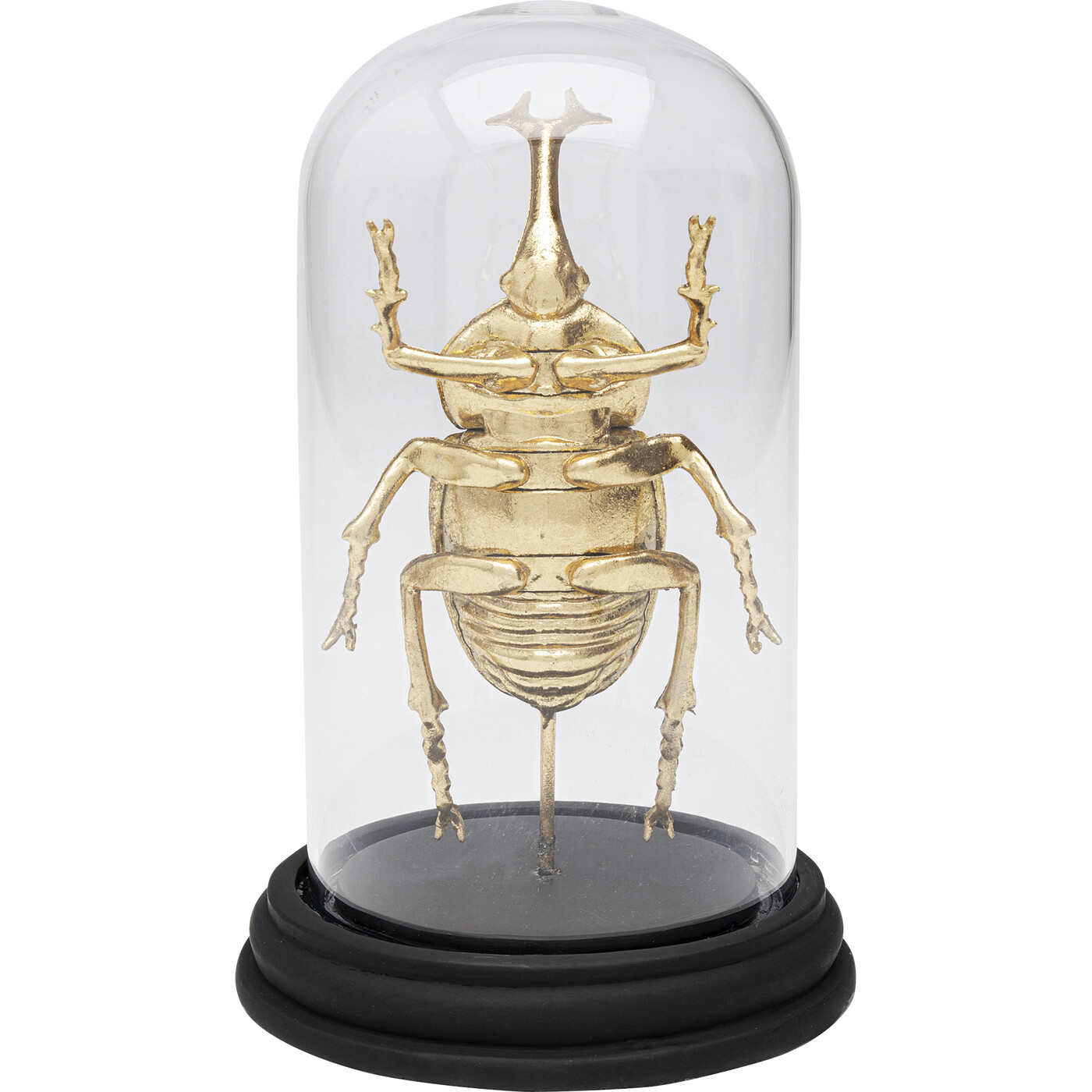 Объект декоративный Bell Jar Stag Beetle «Жук-олень под колпаком» 20 см от KARE Design